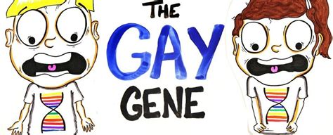 no one can feel naturally homosexual|The 'Gay Gene' Is A Myth But Being Gay Is 'Natural,' Say.